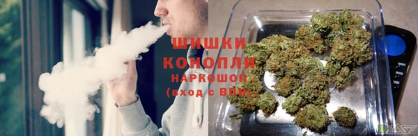 не бодяженный Корсаков