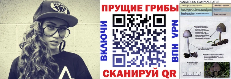 Галлюциногенные грибы Psilocybe  Хасавюрт 